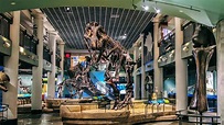 A Guide to The Academy of Natural Sciences — Visit Philadelphia