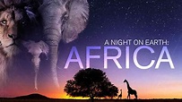 Is Documentary 'A Night on Earth: Africa 2014' streaming on Netflix?