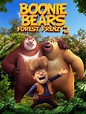 Boonie Bears Forest Frenzy 2 Pictures - Rotten Tomatoes