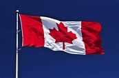 The Red Maple Leaf: How Canada's Flag Came to Be - Toronto Reference ...