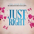 New Music: Raheem DeVaughn - Just Right (Produced by Tim Kelley ...