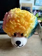 阿福柔犬彩虹狗玩偶，爆炸頭髮型, 興趣及遊戲, 玩具與遊戲在旋轉拍賣