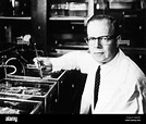 Thomas Huckle Weller, American Virologist Stock Photo - Alamy