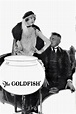 The Goldfish (película 1924) - Tráiler. resumen, reparto y dónde ver ...