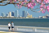 Bayshore Boulevard in Tampa - Bright and Beautiful Skies By the Seaside ...