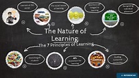 The Nature of Learning: The 7 Principles of Learning, Infography
