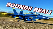 FAST & LOUD Blue Angels RC Warbird Military Jet - E-flite F-18 Blue ...