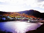 Autumn In Harbor Grace by Zinvolle Art | Scenic, Newfoundland ...
