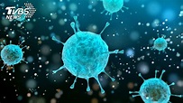 學者：變種病毒影響部分抗體 不至於讓疫苗無效│新冠肺炎│TVBS新聞網