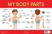 My Body Parts Chart - Early Learning Educational Chart For Kids ...