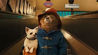 Paddington | Film-Rezensionen.de