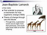Pretraživač tabla suđenje jean baptiste lamarck theory of evolution ...