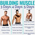 8 Powerful Muscle Building Gym Training Splits | Fitness Workouts ...