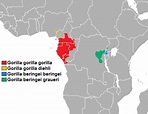 Mountain Gorilla Habitat Map