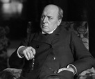 Henry James Biography - Childhood, Life Achievements & Timeline