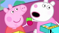 Peppa Pig en Español Episodios completos 🚌 La excursión 🚌 Peppa Pig ...