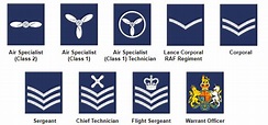 Royal Air Force Facts & Worksheets | History, Function, Combat, Figures