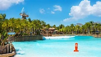 Typhoon Lagoon Surf Pool | Typhoon Lagoon Attractions | Walt Disney ...