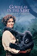 Gorillas in the Mist (1988) | The Poster Database (TPDb)