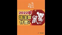 【1984年子鼠】2022壬寅虎年運程 - RAT Year 1984｜2022 Zodiac Animals Forecast - YouTube