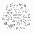 Nocturnal Animals Colouring Pages