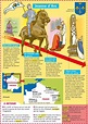 Jeanne d'Arc | Educational infographic, French history, French lessons