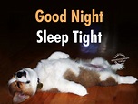 Good Night , Sleep Tight - Good Night Pictures – WishGoodNight.com