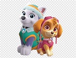 About Everest Everest Paw Patrol Personajes PNG Image With Transparent ...