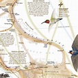 Bird Migration Map North America | Western Hemisphere