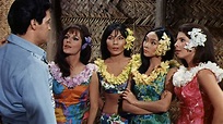 Paradis hawaïen (Michael D. Moore, 1966) - La Cinémathèque française