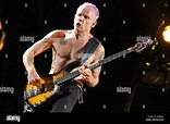 Bassist Michael "Flea" Balzary of the US Band Red Hot Chili Peppers ...