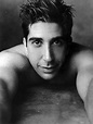 David Schwimmer’s photo gallery | David schwimmer, Celebrities male, Actors