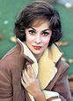 43 Best images about Gina Lollobrigida on Pinterest | Actresses, 1960s ...