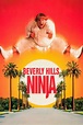 Beverly Hills Ninja (1997) — The Movie Database (TMDB)