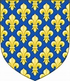 File:Arms of the Kings of France (France Ancien).svg - Wikipedia Coat ...