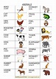 MAPPE per la SCUOLA: ANIMALI IN INGLESE