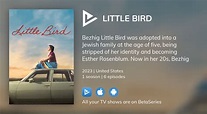 Where to watch Little Bird TV series streaming online? | BetaSeries.com