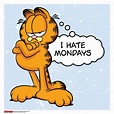 Garfield - I Hate Mondays Poster - Shirtstore