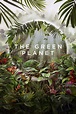 ‎The Green Planet (2022) directed by Elisabeth Oakham • Reviews, film ...