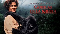Gorilas en la Niebla | Apple TV