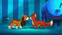The Fox and the Hound 2 (2006) - Backdrops — The Movie Database (TMDB)