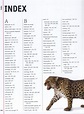 The animal book : a visual encyclopedia of life on Earth