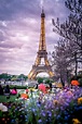 mbphotograph: “ Paris, France (by mbphotograph) Follow me on Instagram ...