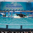 Miami Seaquarium – Aquarium Review | Condé Nast Traveler