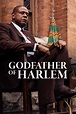 Godfather of Harlem (TV Series 2019- ) - Posters — The Movie Database ...