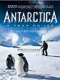 Antarctica: A Year on Ice - Filme 2013 - AdoroCinema
