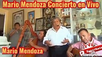 Mario Mendoza mix concierto en Vivo nro 8 - YouTube