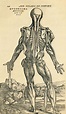 "De Humani Corporis Fabrica" 1543 Andreas Vesalius | Scientific ...
