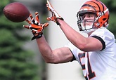 WATCH: Former Rutgers and current Cincinnati Bengals tight end Tyler ...