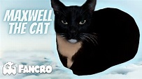 Maxwell the Cat Theme - YouTube